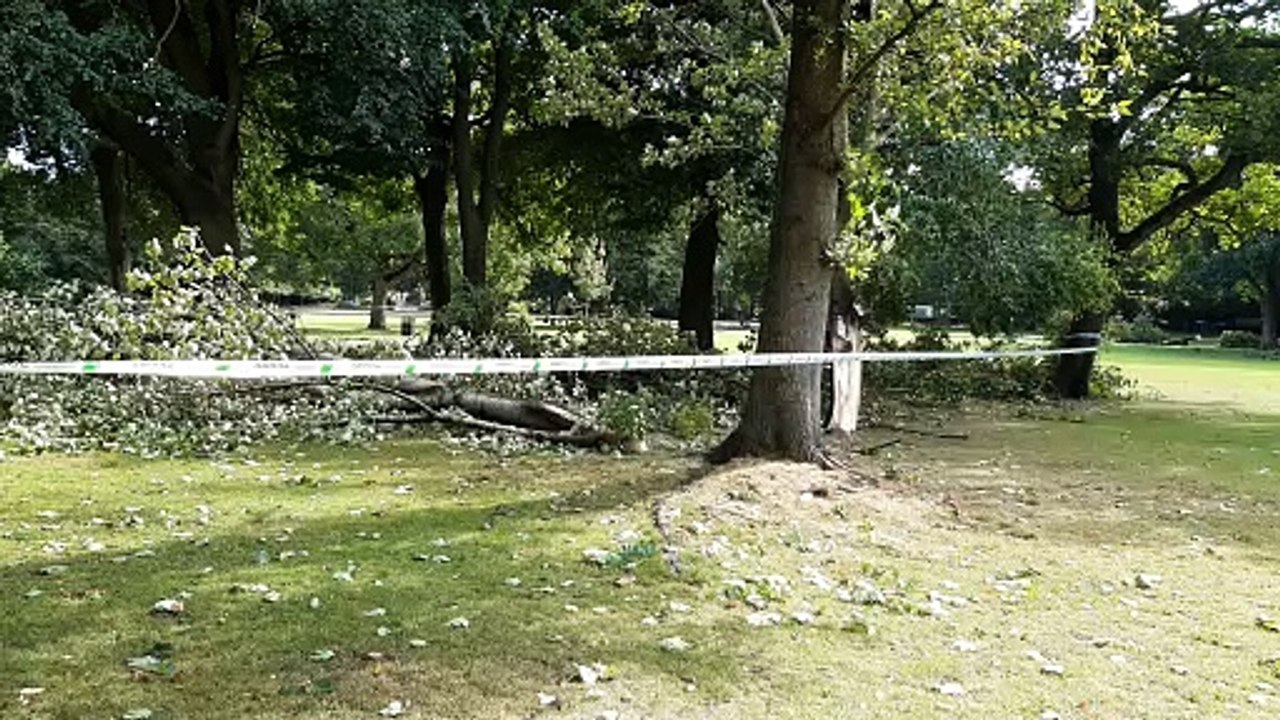 Storm damage in Halifax