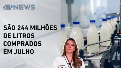 Kellen Severo: Importação de leite é a maior em 25 anos