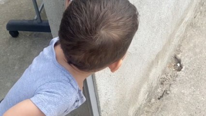 Emotional reunion: Child’s crocs fall off as he hurries to meet his aunt