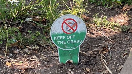 "Disrespectful" tourists trashing hotspot in search of Insta pictures, locals say