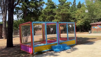 Yaz kampına katılan otizmli çocuklar hem eğlendi hem öğrendi