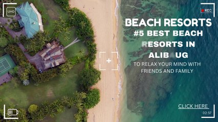 Turquoise Green Sandy Beach Drone Footage Travel Video (1)