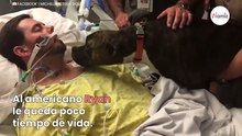 En su último aliento de vida, la reacción de su pitbull conmueve hasta las lágrimas (Vídeo)