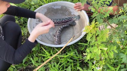 Amazing Fishing Technique For Big Fish
