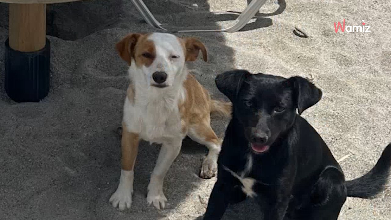 Dwaj „nieznajomi” śledzą kobietę podczas wakacji w Grecji. Urlop kończy się w nieoczekiwany sposób