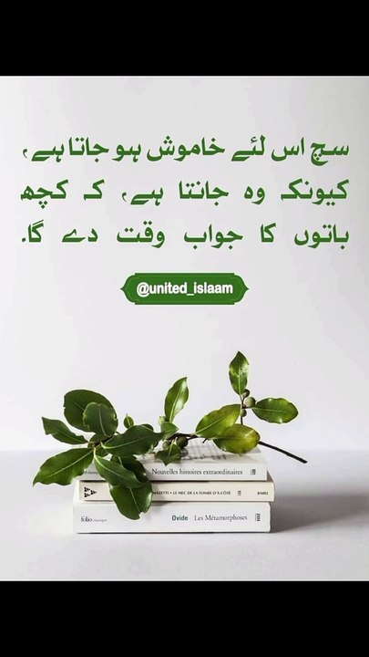 کچھ باتوں کا جواب وقت دے گا #trending#viral#shorts#islamic#follow#foryou#dailymotion#share
