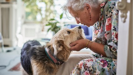 Locataire protégé : définition, conditions et résiliation du bail
