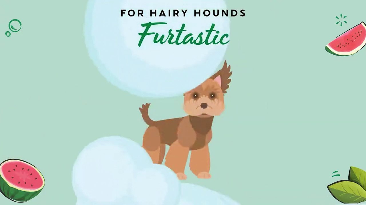 Pet Head shampooing pour chien Furtastic - Morin France