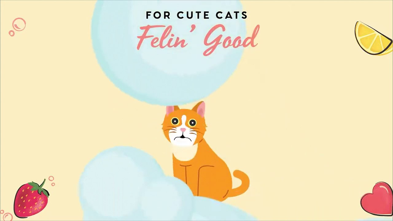 Felin' Good - Pet Head shampooing pour chien