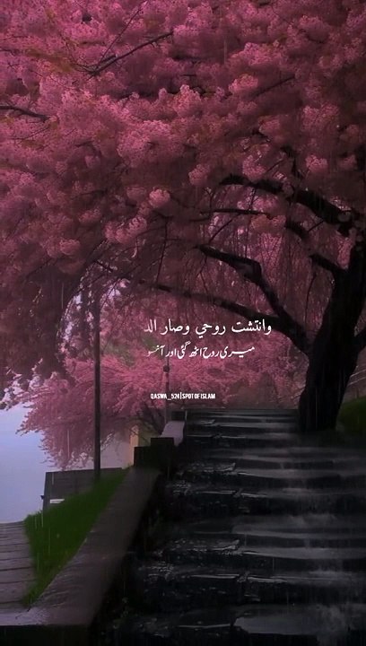 Islam