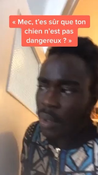 Ça se voit il mord mdrr