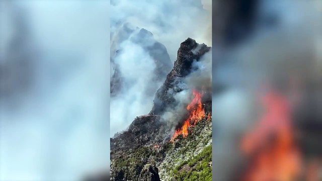 Incendios forestales en Portugal