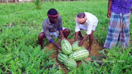 WATERMELON JUICE _ Farm Fresh Fruit Juice Making _ Watermelon Craft _ Watermelon Experiment