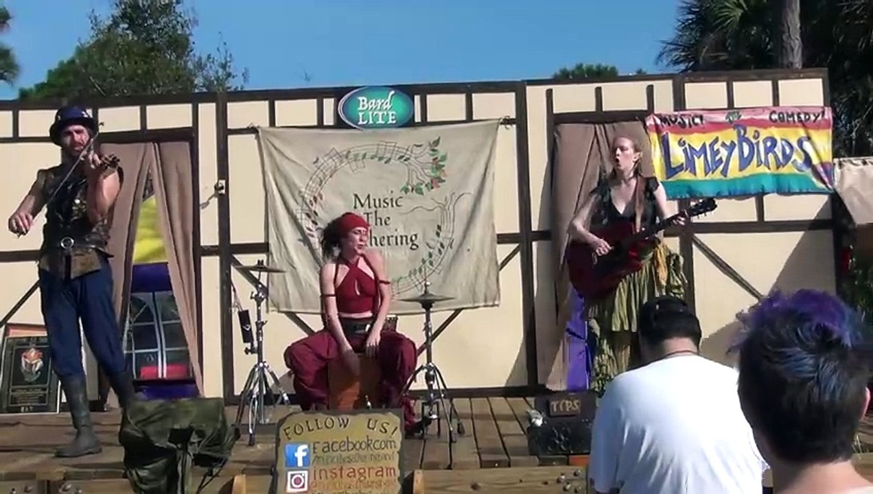 Brevard Renaissance Fair 2020: Music the Gathering - Mist-Covered Mountains (5)