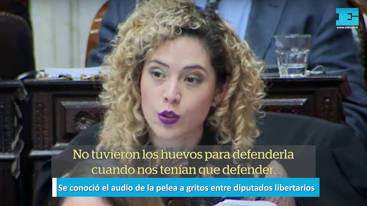 Se conoció el audio de la pelea a gritos entre diputados libertarios