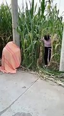 Best Funny New Clip BBK 2021 _ New Comedy Video try not to laugh with BBK _short(360P)
