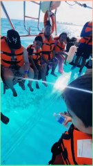 Transparent Boat Beautifull Sea Views Follow For More...!!