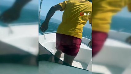 Altınova'da Cankurtaran, Hayat Kurtardı!