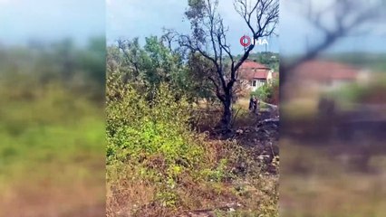 Yalova’da Zeytinlik Alanda Yangın!