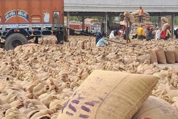 Kota Mandi Bhav : चना व सोयाबीन के भावों में तेजी