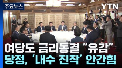 '내수 진작' 안간힘 쓰는 여당..."금리 동결 아쉬워" / YTN
