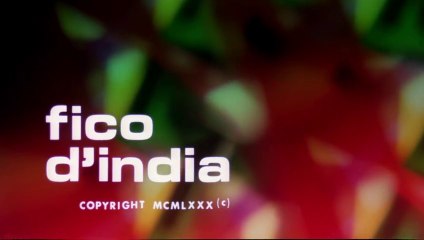 Fico d'India (1980) – Comedy Classic with Renato Pozzetto & Gloria Guida 🎬