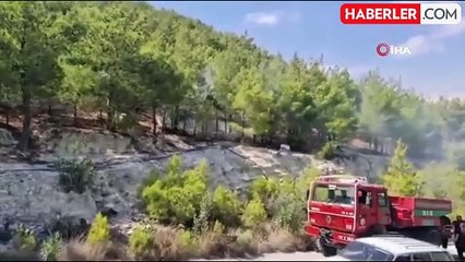 Alkol alıp orman yaktılar, devleti milyonlarca zarara uğrattılar