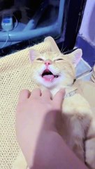 Billy is feeling giddy