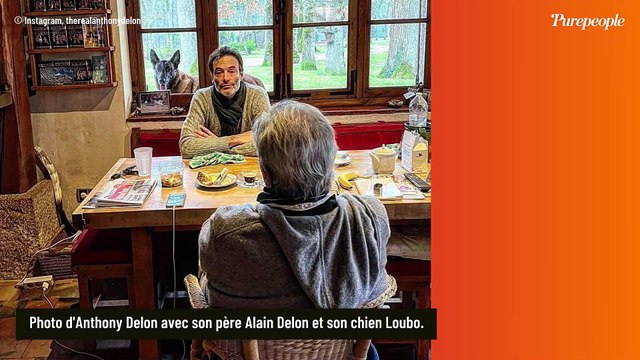 Alain Delon va reposer à Douchy : quel avenir pour la vaste propriété de La Brûlerie qu'il avait découverte par hasard ?