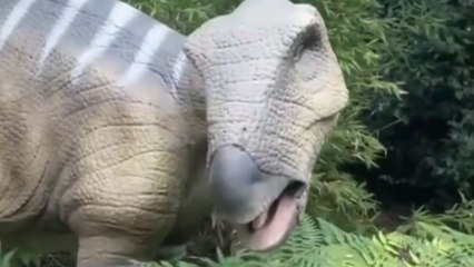 Boy's dinosaur adventure at Hertfordshire Zoo becomes unforgettable in the funniest way