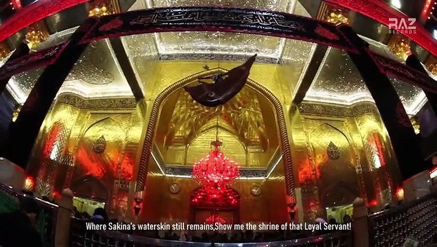 Karbala Dekha De Mola | Syed Raza Abbas Zaidi | Nohay 2024 | Muharram 1446 - 2024 | Karbala