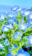 National park so beautiful