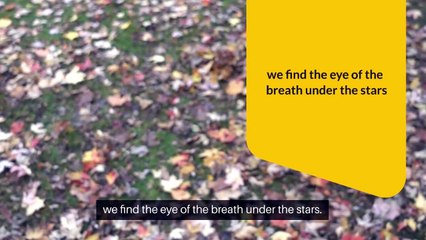 Eternal Echoes in Starlit Time.