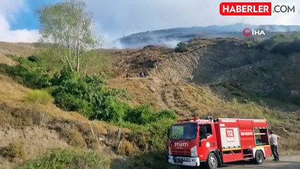 Sinop'ta çıkan örtü yangınında 5 hektar alan zarar gördü