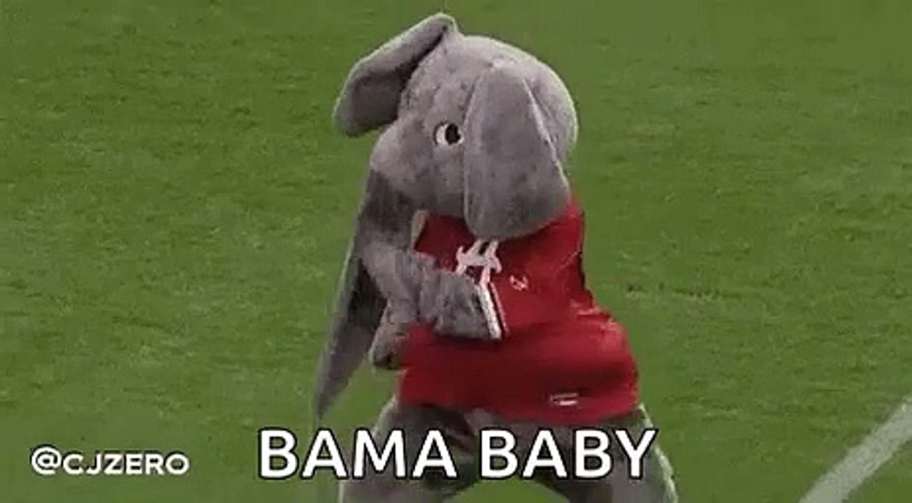 big-al-excited