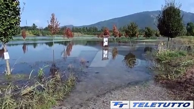 Video News - Sono esondati i laghetti al parco delle cave