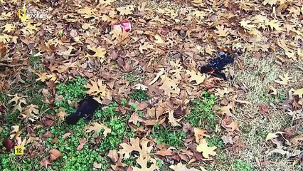 Misterios y leyendas temporada 1 capitulo 6