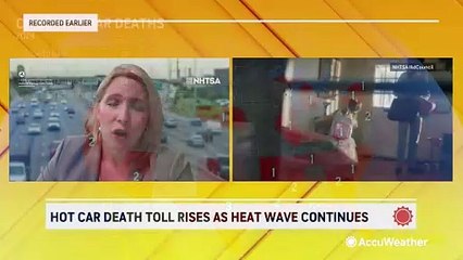 Hot car deaths rise in the United States this year