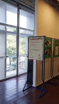 Lúcia Teixeira, presidente da Unisanta, faz curadoria de exposição Viva Pagu e lança livro; Confira!