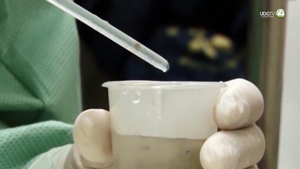 Confirma la federación la primera muerte por dengue en Jalisco; hay 30 más en estudio