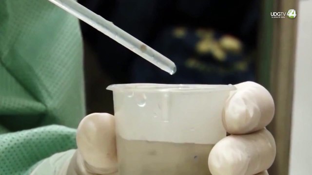 Confirma la federación la primera muerte por dengue en Jalisco; hay 30 más en estudio