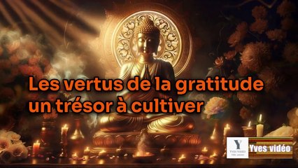 Les vertus de la gratitude _ un trésor à cultiver