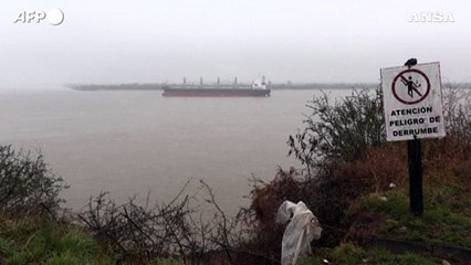 Argentina, isolata nave cargo per caso sospetto vaiolo scimmie