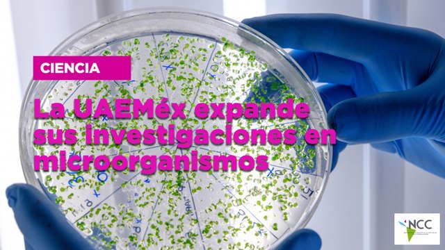 La UAEMéx expande sus investigaciones en microorganismos