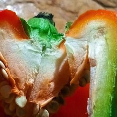 -ANDRÉS DE JESÚS VÉLEZ FRANCO- REALIDAD VIRTUAL, BLOCKCHAIN Y MÁS EN LA TELEMEDICINA (PARTE 2) (@AndresdeJesus90)