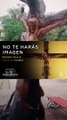 NO LO HARÁS