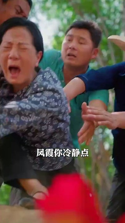 【热门短剧】 《灿灿萱草花》 (上)