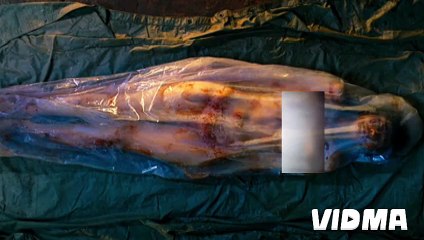 I saw the devil hindi dubbed part 1