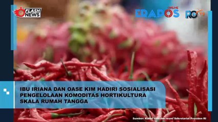 Ibu Iriana Dan Oase Kim Hadiri Sosialisasi Pengelolaan Komoditas Hortikultura Skala Rumah Tangga