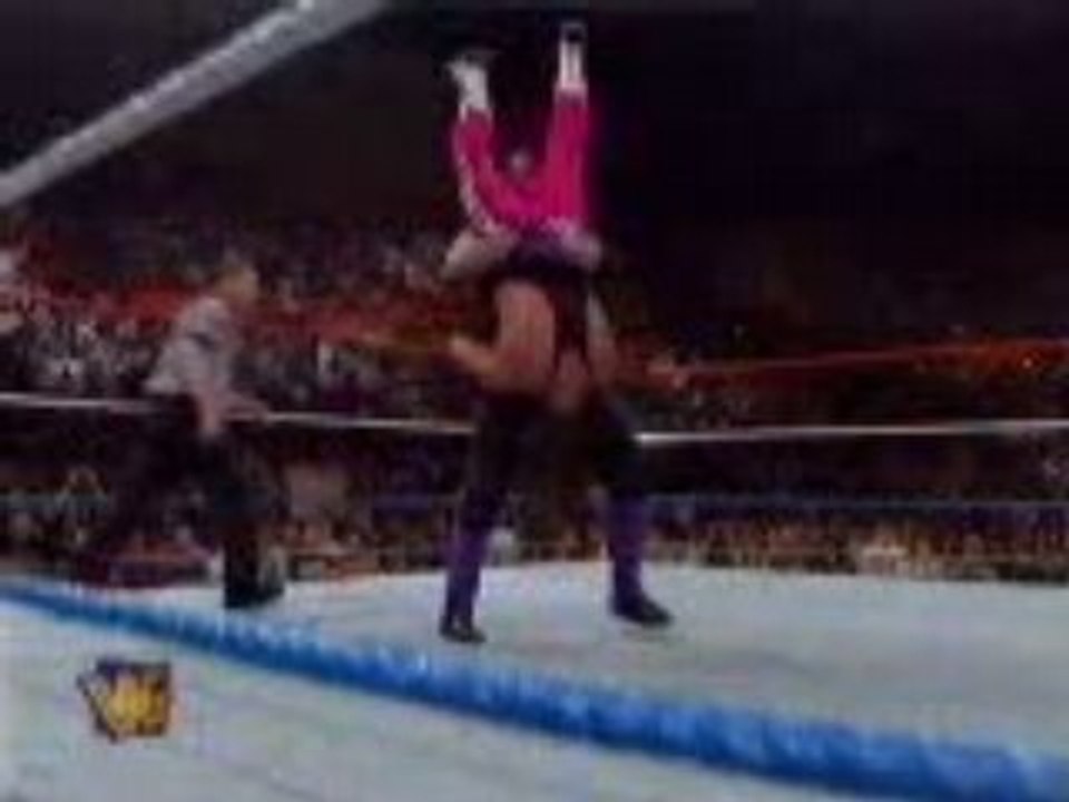 undertaker breaks bret harts neck